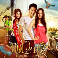 HOLD住爱(2012)