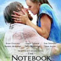 恋恋笔记本 The Notebook(2004)