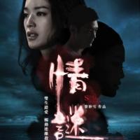 情谜  (2012)