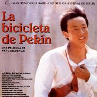 十七岁的单车(2001)