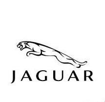 捷豹（Jaguar）