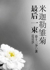 最后一束米迦勒雏菊