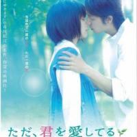 只是爱着你  (2006)