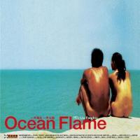 一半海水一半火焰 (2008)