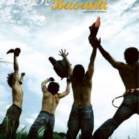 芭萨提的颜色 Rang De Basanti (2006)