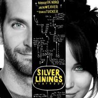 乌云背后的幸福线 Silver Linings Playbook (2012)