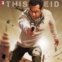 代号猛虎行动 Ek Tha Tiger (2012)