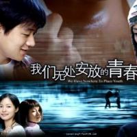 我们无处安放的青春 (2007)