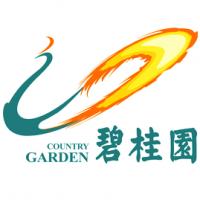 碧桂园