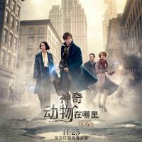 神奇动物在哪里 Fantastic Beasts and Where to Find Them (2016)