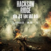 血战钢锯岭 Hacksaw Ridge (2016)