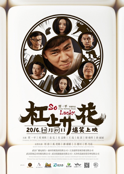 杠上开花 (2016)