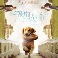 一条狗的使命 A Dog's Purpose (2017)