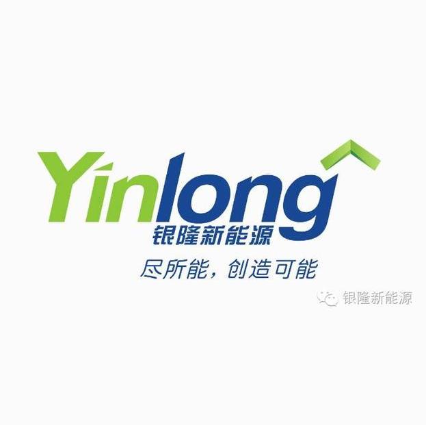 银隆集团（银通集团）