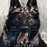 血狼犬 (2017)