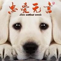 忠爱无言 (2017)