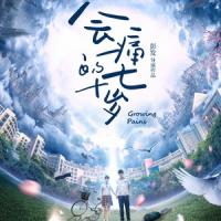 会痛的十七岁 (2017) 