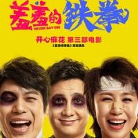 羞羞的铁拳 (2017)