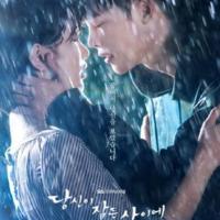 当你沉睡时 당신이 잠든 사이에 (2017)