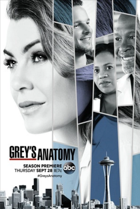 实习医生格蕾 第十四季 Grey's Anatomy Season 14 (2017)