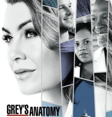 实习医生格蕾 第十四季 Grey's Anatomy Season 14 (2017)