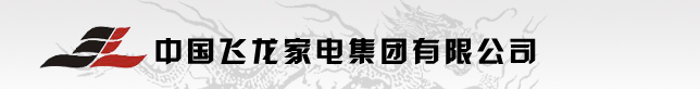 飞龙家电集团有限公司