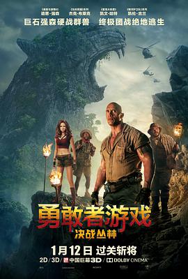 勇敢者游戏：决战丛林 Jumanji: Welcome to the Jungle (2017)