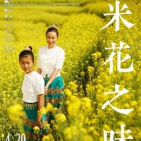米花之味 (2018)