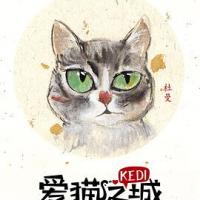 爱猫之城 Kedi (2018) 