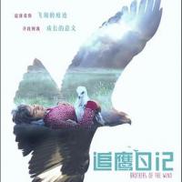 追鹰日记 Brothers of the Wind (2015) 