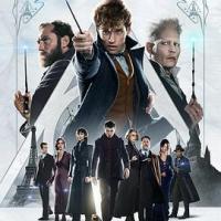 神奇动物：格林德沃之罪 Fantastic Beasts: The Crimes of Grindelwald (2018) 