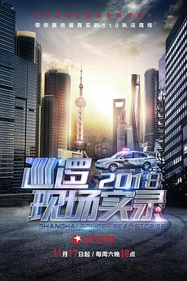 巡逻现场实录2018 (2018) 
