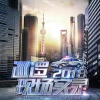 巡逻现场实录2018 (2018) 