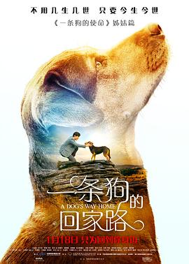 一条狗的回家路 A Dog's Way Home (2019) 