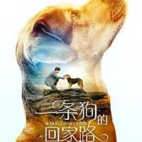 一条狗的回家路 A Dog's Way Home (2019) 