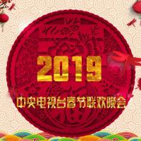 2019年中央电视台春节联欢晚会 (2019)