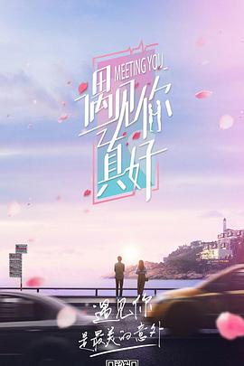 遇见你真好 (2019)