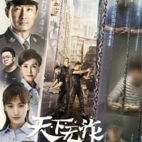 天下无诈 (2019) 