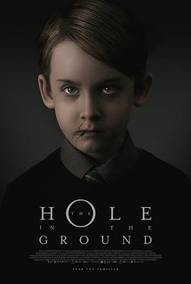 地面之洞 The Hole in the Ground (2018) 