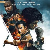 三重威胁之跨国大营救 Triple Threat (2019) 