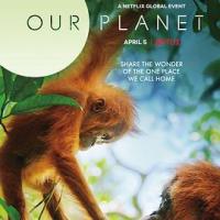 我们的星球 Our Planet (2019) 
