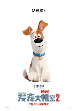 爱宠大机密2 The Secret Life of Pets 2 (2019) 