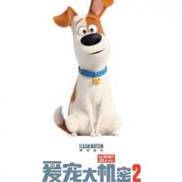 爱宠大机密2 The Secret Life of Pets 2 (2019) 