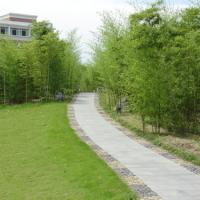 伊犁职业技术学院 