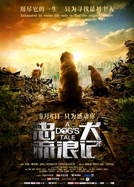 忠犬流浪记 (2019) 