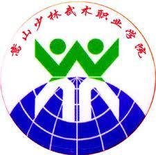 嵩山少林武术职业学院 