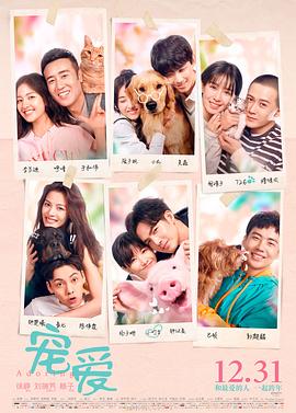 宠爱 (2019) 