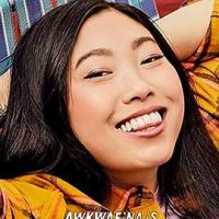 奥卡菲娜是来自皇后区的诺拉 Awkwafina Is Nora from Queens (2020) 