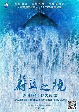 蔚蓝之境 (2020) 