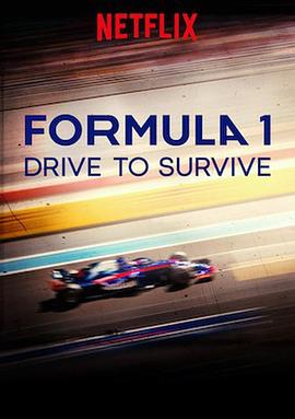 一级方程式：疾速争胜 第二季 Formula 1: Drive to Survive Season 2 (2020)